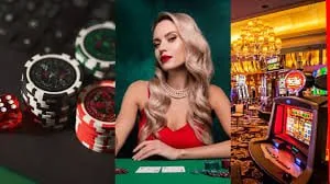 game988 Sportsbook